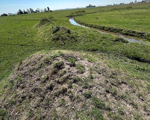 Importante Campo en Venta San Vicente