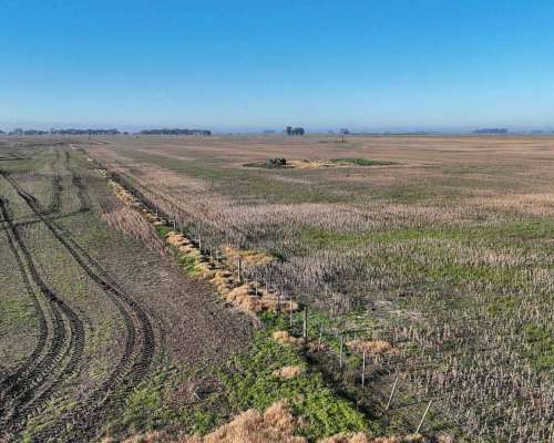 Pcia. de Buenos Aires - Carmen de Areco 66 Has