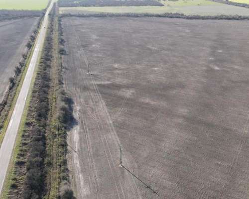 525 Hectáreas Agrícolas Sobre Ruta, San Marcial.