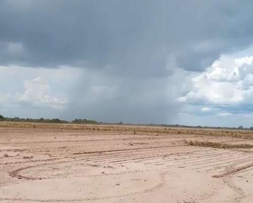 3.000 Ha Pluma de Pato, Salta