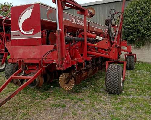 Crucianelli Gringa V. Neumatica. Fertilización Simple. 2008