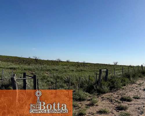 11000has en Venta en Santa Isabel, la Pampa