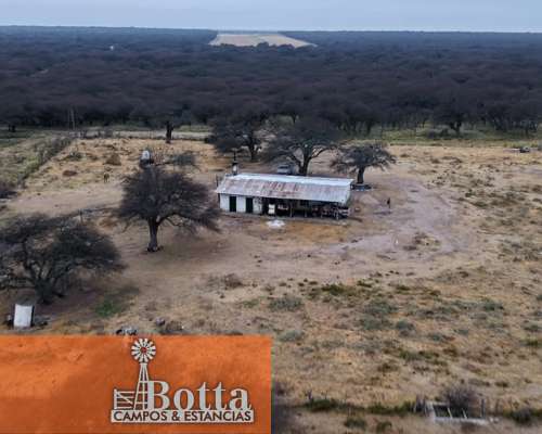 Campo Ganadero en Venta — 3.200 Has Rancul, la Pampa