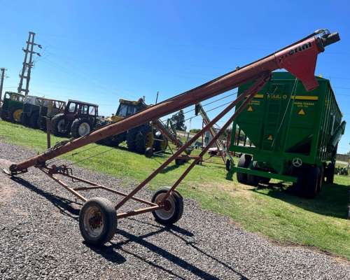 Chimango Pierini 6 Mts