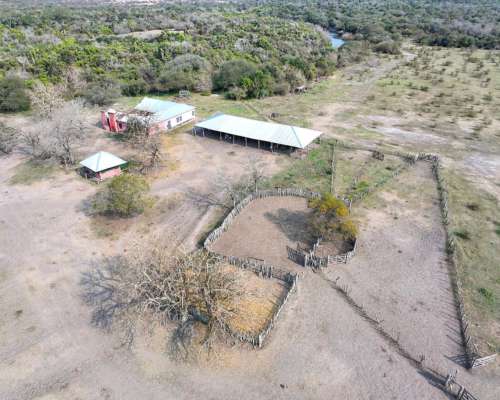 Pcia. de Corrientes - Curuzu Cuatia 14884 Has