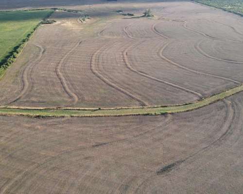 250 Hectáreas de Campo Agrícola en Gualeguaychú, Sobre Ripio