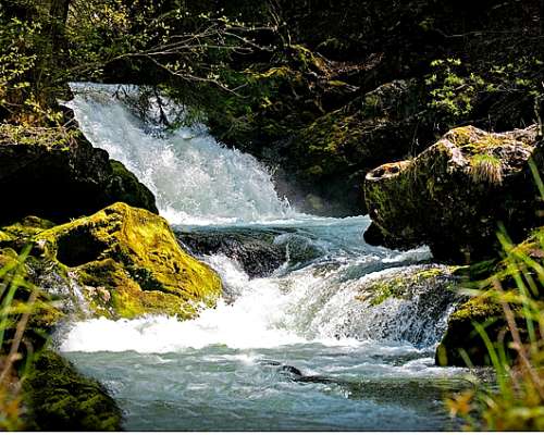 Venta Campo en el Hoyo Zona Arrollo Pedregoso 892 Hectareas