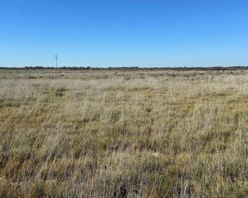 302 Has. Bahia Blanca con Arroyo