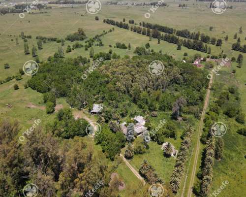 Campo en Venta de 256 Has Sobre Ruta 2 - Ideal Desarrollo