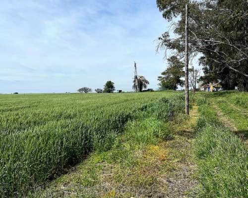 178 Has Agricolas Cultivos Soja Maíz Trigo Alfalfa
