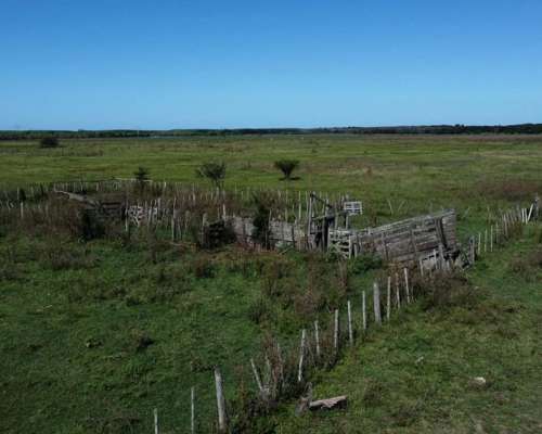 En Venta Campo Mixto de 121 Has en Ingenio Moneta San Pedro