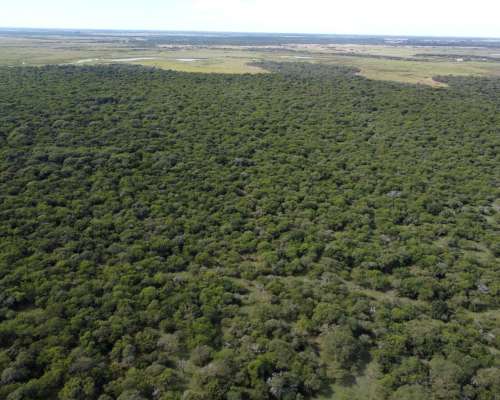 594 Has muy Buen Campo Ganadero en Venta Dpto. Federal