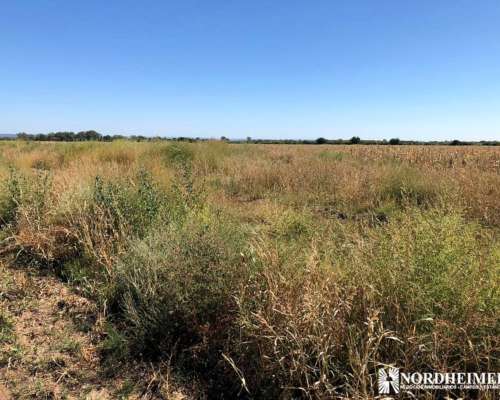Concaran, Chacabuco, San Luis, Argentina