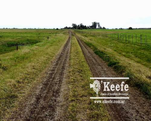 2500 Has. Campo en Venta en Gral. Juan Madariaga