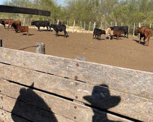 2700 Has - Ruta 127 Federal SUR - Venta