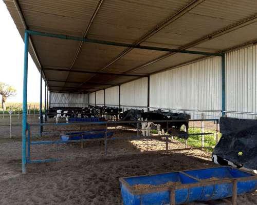 Guacheras Comunitarias, Estructura Metalica