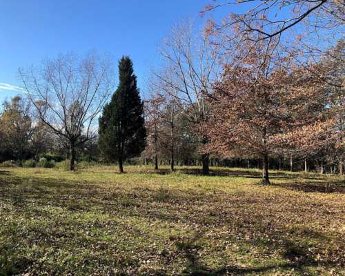 7 Estupendos Terrenos en las Lomadas, los Cardales