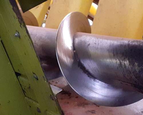 Maicero Allochis 14/52, 2008. Bajo Galpon.