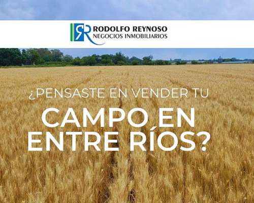 Buscamos Campos en Entre Ríos
