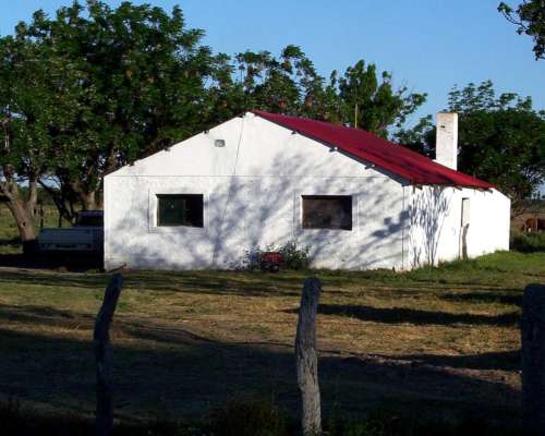 Campo Mixto de Gran Escala en Federal, Entre Ríos