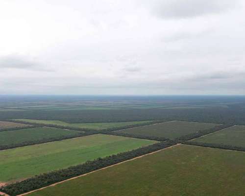 Pcia. de Salta - las Maravillas 2889 Has