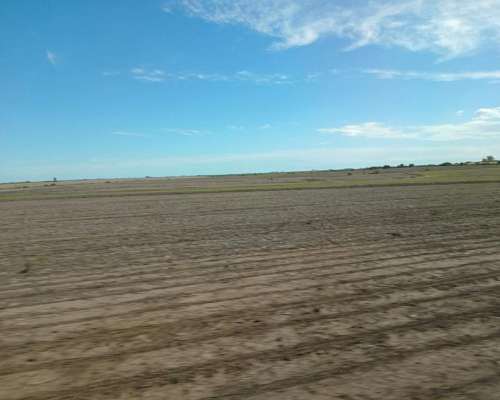 66 HA. Zona Hernández. Agrícola sin Desperdicio