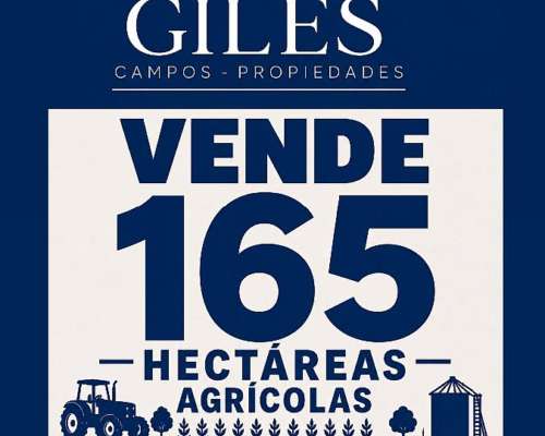 Campo 165 Hectáreas Agrícolas Baradero