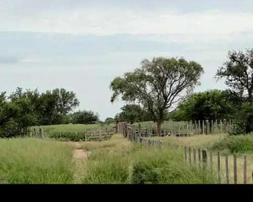 1900 Has Mixto Apto C/riego, Perf en Producción Cría-recria