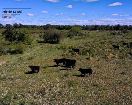 2000 Ha Campo Ganadero en Lahisi-formosa
