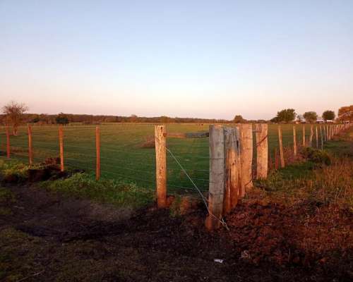 Venta Campo Agrícolas - Lucas Norte, Villaguay, Entre Ríos
