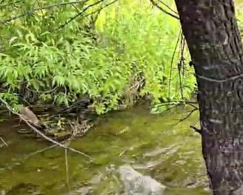 Trevelin, Campo de Precordillera