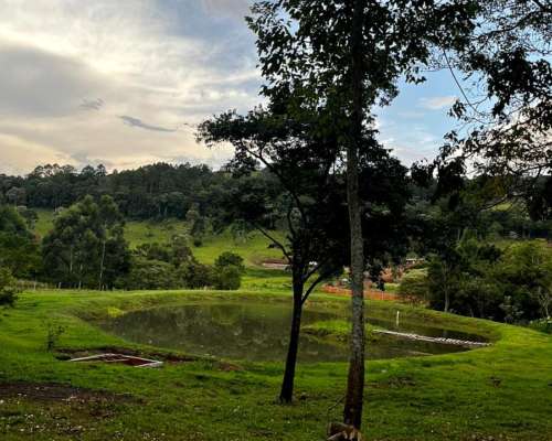 🌿🏡 Oportunidad Única – Vendo Chacra de 6 Hectáreas 🏡🌿