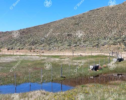 Campo en Venta de 4394 Has Comallo, Rio Negro