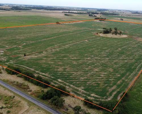 90 Has. Agricolas. Lobos.