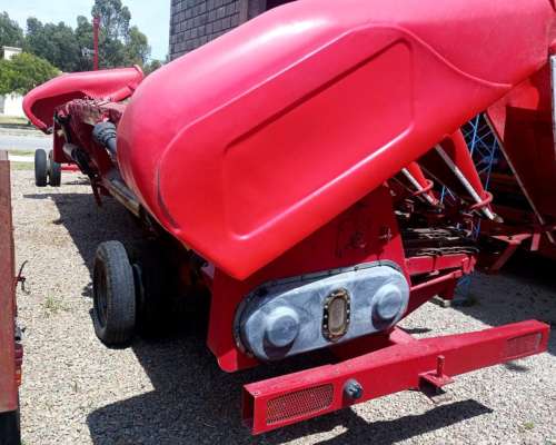 Maicero Ombu 13 a 52 año 2018