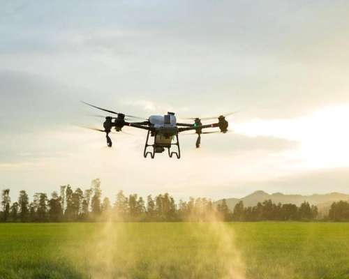Drone DJI T50 Agra