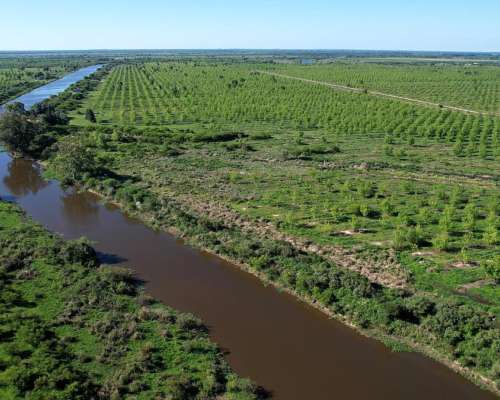Villa Paranacito, Islas del Ibicuy, Entre Ríos - 7 Ha