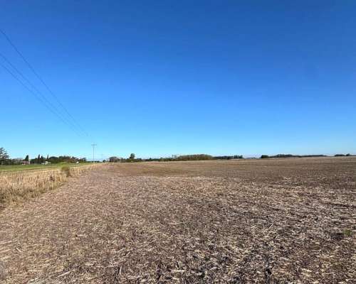 Campo Agrícola Sobre Autopista 9