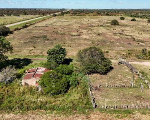Ambrosetti, Santa FE. Venta 72 HA. Campo Mixto.