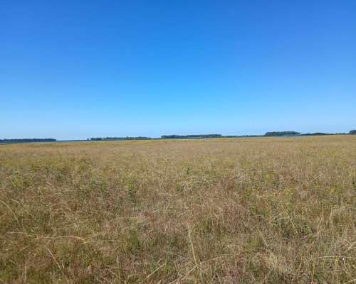 Campo Mixto - Bolivar