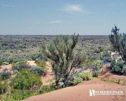 Villa Santa Rosa, 25 de Mayo, San Juan - 6.980 Ha