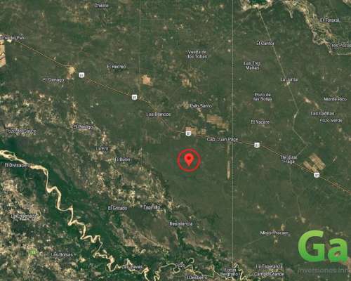 Finca en Venta 600 Has. CAP Page, Rivadavia, Salta