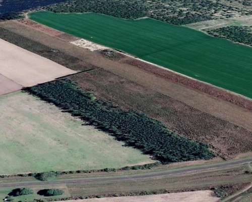 Arrendamiento Rural 12 Has S/ruta 11 Paraje el Timbó(sta FE)