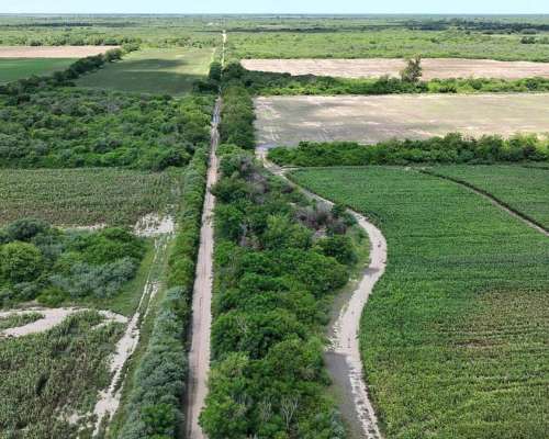 Ingeniero Forres, Robles, Santiago del Estero - 451 Ha