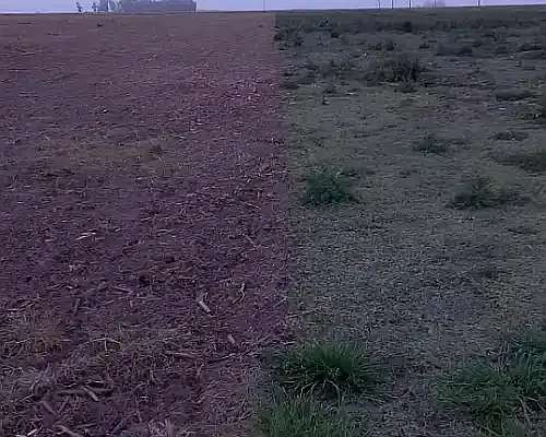 Carpidor Agrotec Carpi de 11 o 13 Lineas a 52 0 70 cm Comple