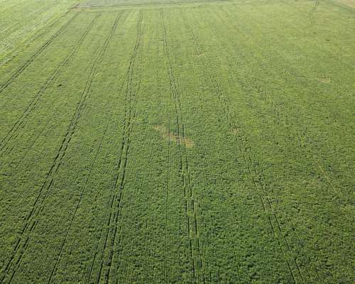 26 Ha Agrícolas. Suelo Clase 1. Depto San Jerónimo.