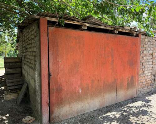 Finca de Ciruelos en Corralitos Mendoza