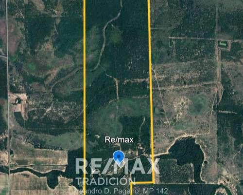 Venta - Campo Ganadero en Gral San Martin, Chaco