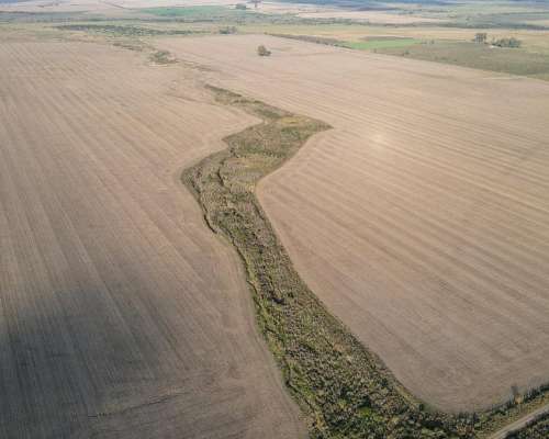 220 Hectáreas Campo Agrícola en Gualeguaychú.