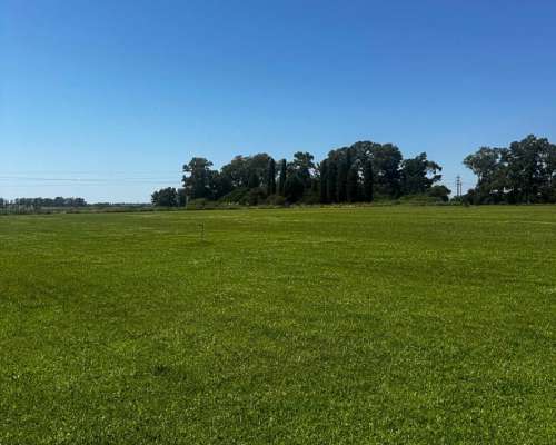 Campo Agrícola con Mejoras 27 Has.